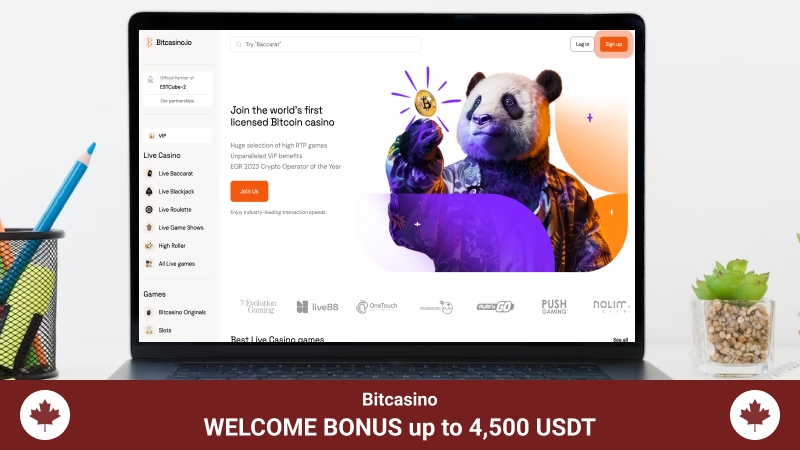 BitCasino main page