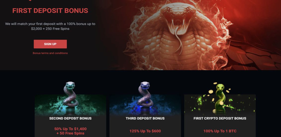 Cobra Casino bonuses and promotions
