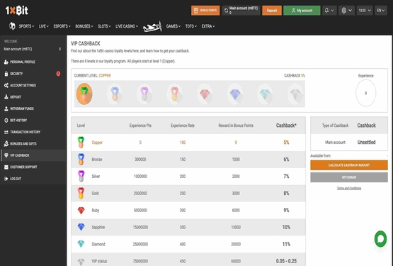1xBit casino vip page