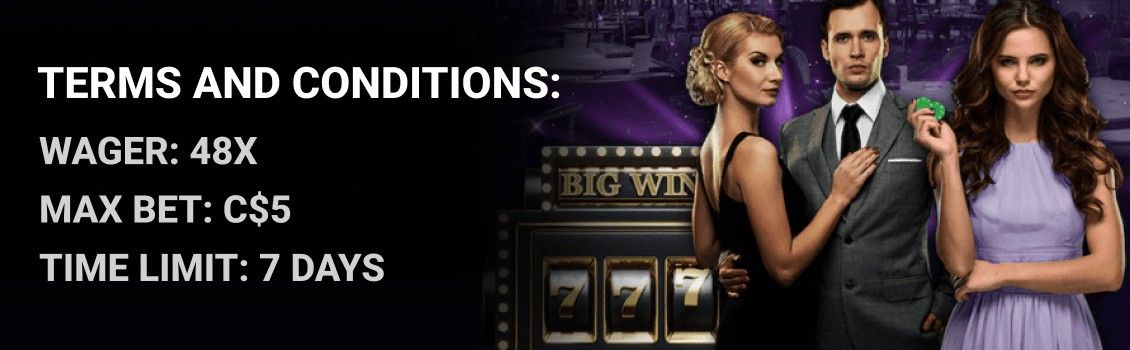 BetPlays Casino Terms and Conditions