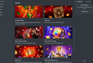 Leon Casino - page promotionnelle