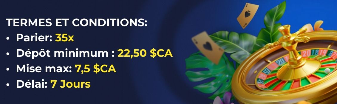 Termes et conditions du casino Nine