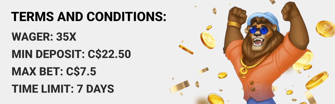 Nine Casino Terms and Conditions