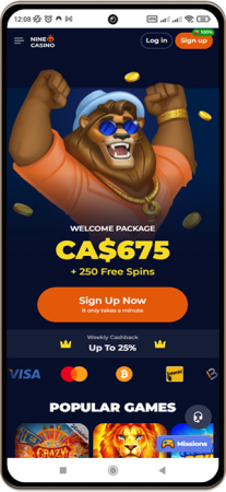 Feedback indicates that the casino effectively accommodates a wide variety of players, especially focusing on newcomers and those seeking flexibility. Players have praised the extensive selection of games, reliable random number generator fairness, prompt withdrawal processes, and an intuitive interface that helps beginners adapt. The loyalty program, as well as deposit bonuses and complimentary spins, caters to players across different spending ranges.