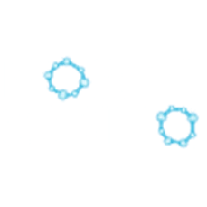 north logo white