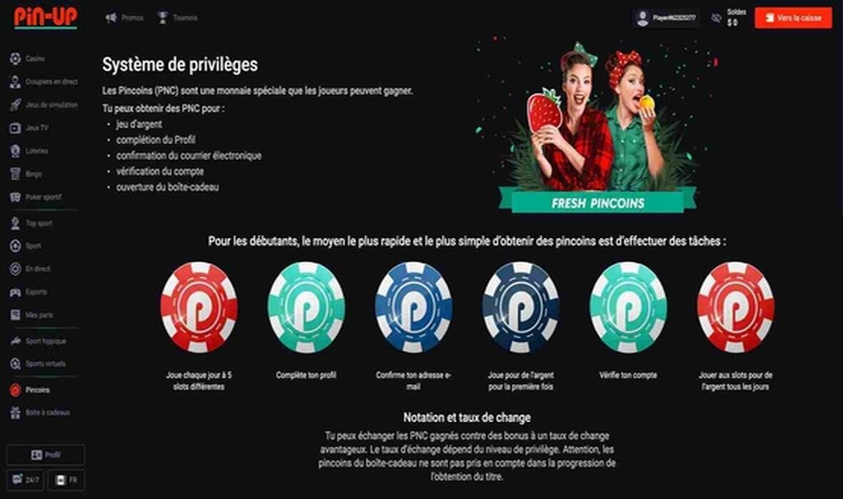 Pin-Up casino vip page de programmation