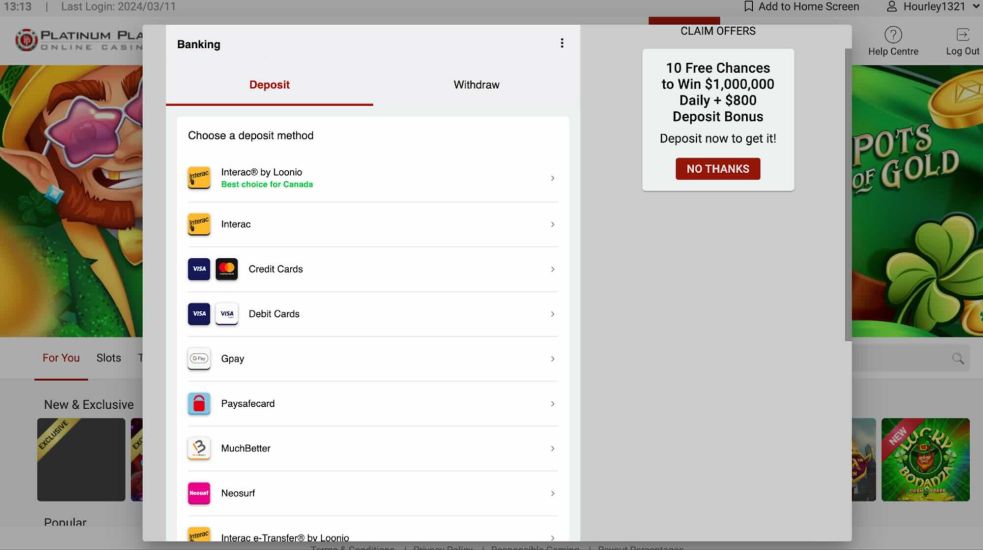 Payment Methods at Platinum Play Casino