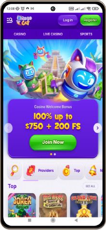 Reviews from players sharing their experiences at RoboCat Casino.