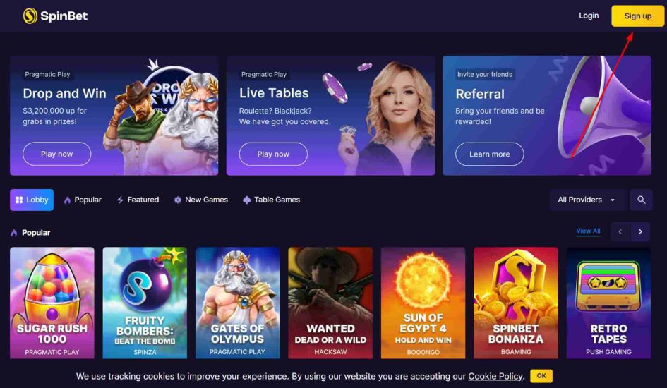 Step 1 of Spinbet Casino Registration