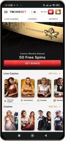 Mobile display of Tooniebet Casino