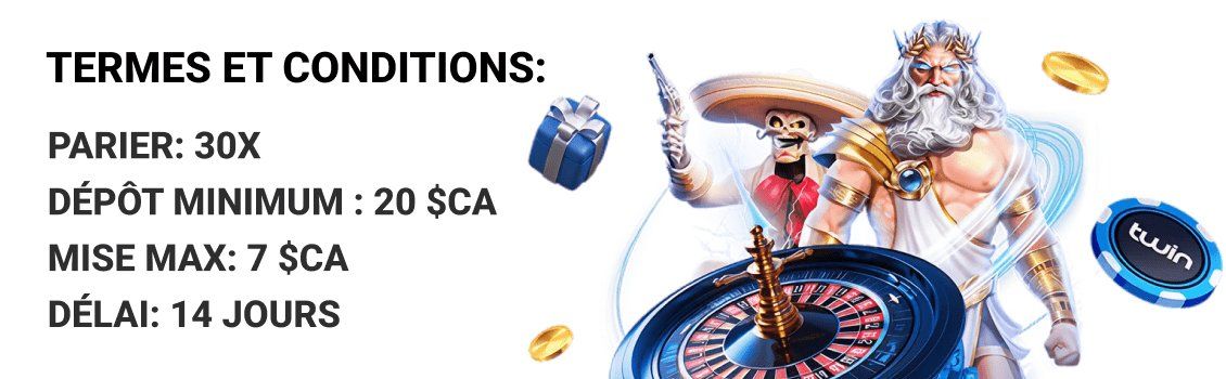 Termes et conditions du casino Twin