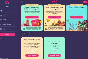 Wild Fortune Casino – page dédiée aux offres promotionnelles