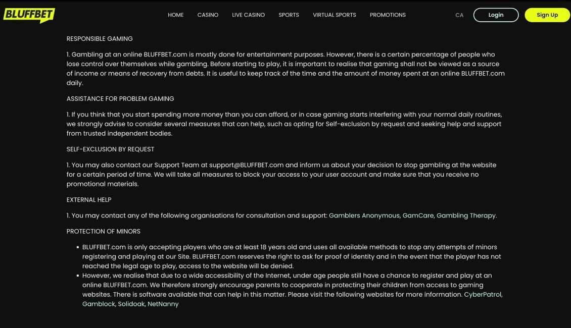 Image depicting Bluffbet Casino's responsible gaming section