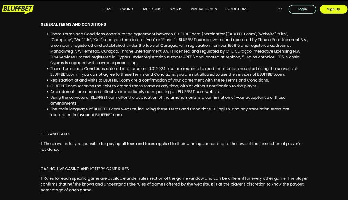 Image depicting the Terms and Conditions page at Bluffbet Casino.