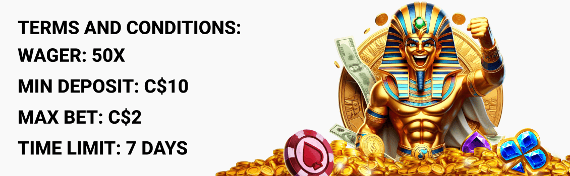 When considering the T&Cs, take into account aspects such as the wagering requirements, minimum deposits, the validity period of bonuses, and other specifics. If you're interested in claiming a welcome bonus, keep these conditions in mind: