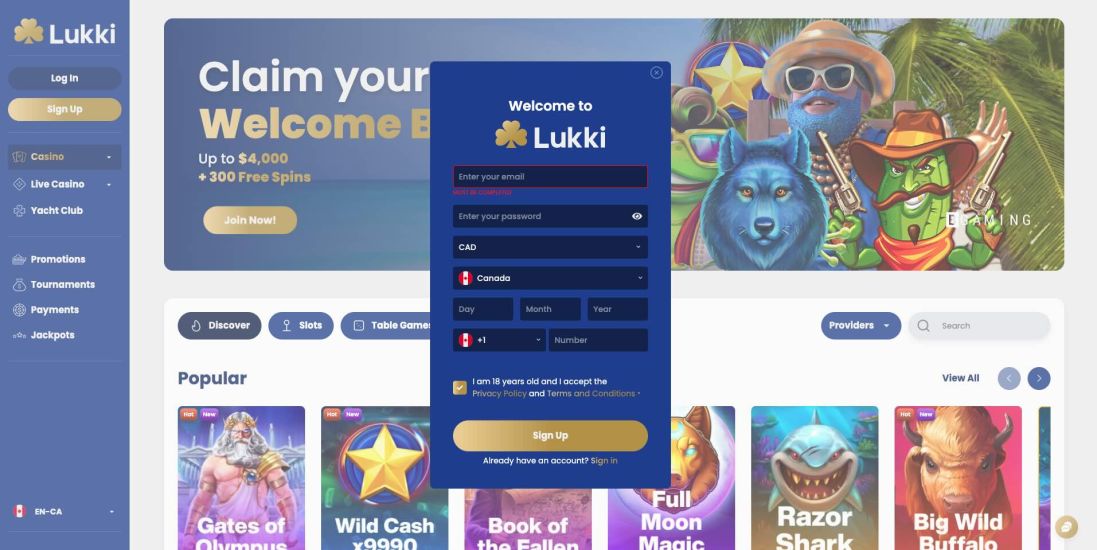 Visual of Lukki Casino registration steps - phase 3
