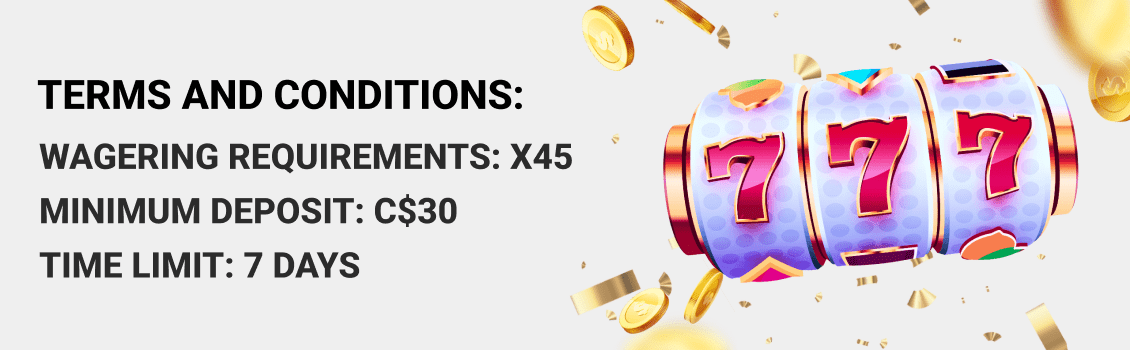 Terms and Conditions for Playbet Casino Bonuses