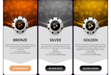 Detailed information regarding the VIP program at Playluck Casino.