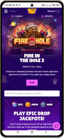 Promotions and bonuses at Slot Owl Casino