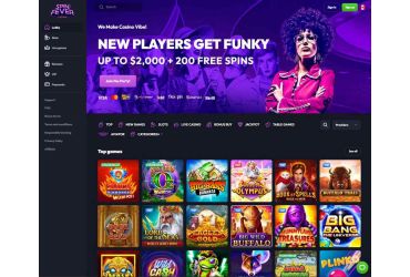 SpinFever - home page