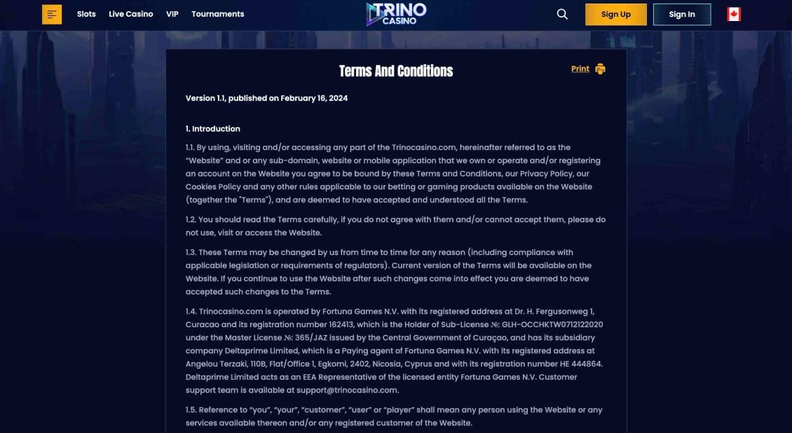 Screenshot of Trino Casino's Terms and Conditions page