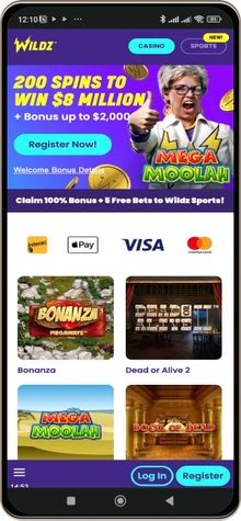 Wildz Casino Displayed on Mobile Devices