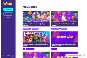 Wild casino - promotions
