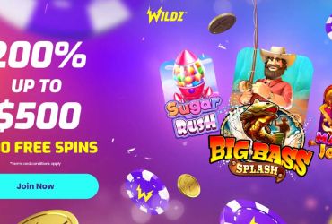 Wild casino - page d'accueil