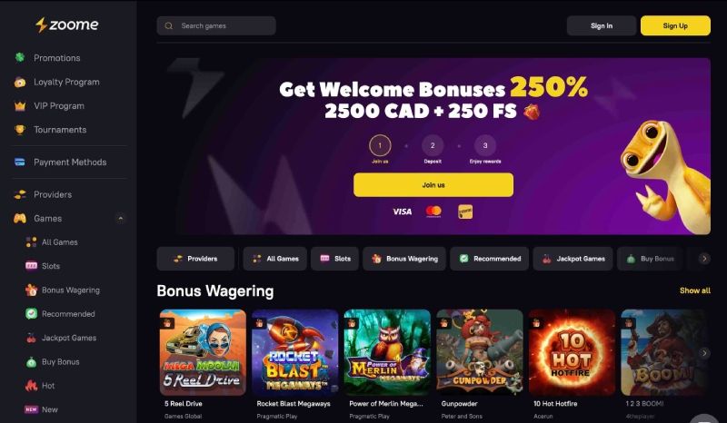 Zoome main page