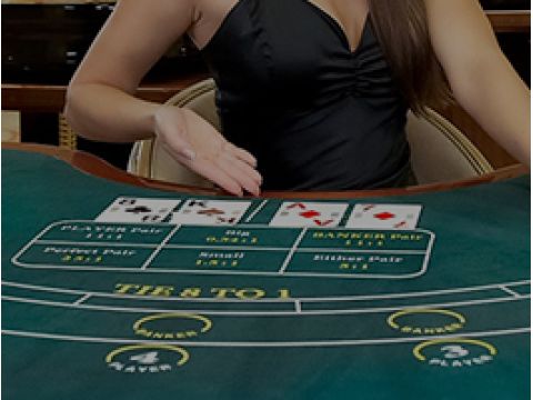 Lucas, an experienced editor at CasinoCanada, has spent over ten years in the gambling field, dedicated to offering players comprehensive reviews and perspectives on online games and casinos.