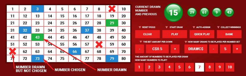 Online keno - main rules