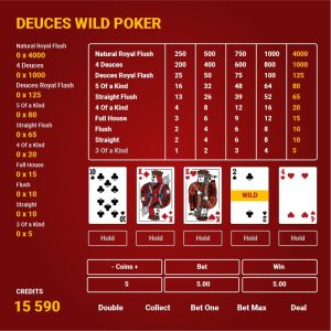 Grasping the Key Features of Video Poker
