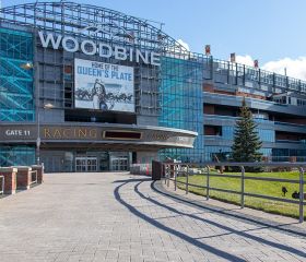 casino woodbine