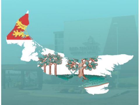 11 Prince Edward Island 325