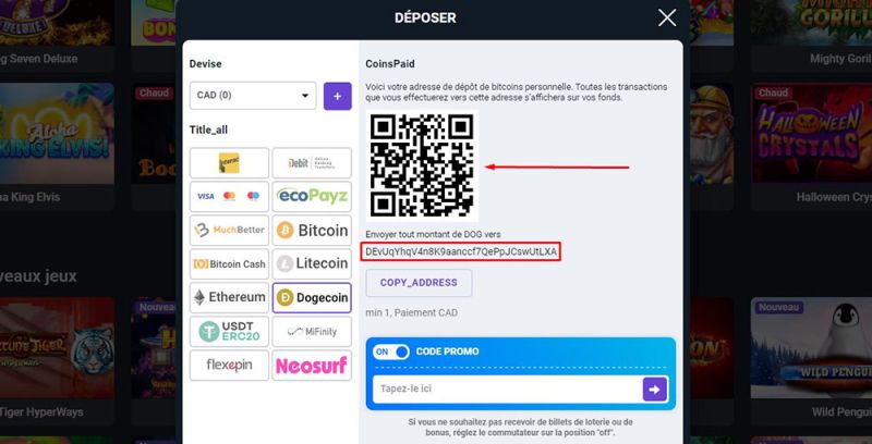 Dépôt avec Dogecoin Étape 4