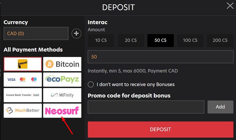 Choisissez NeoSurf parmi les méthodes de paiement disponibles.