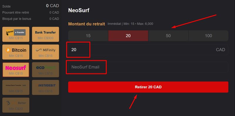 Indiquez précisément le montant à retirer.
