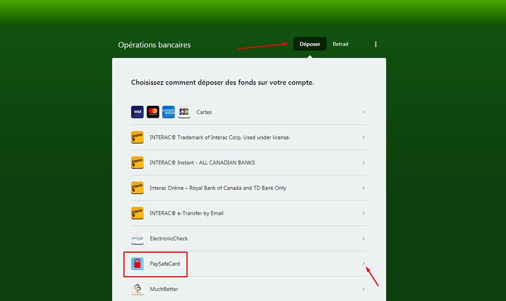 Dépôt avec PaysafeCard Étape 3