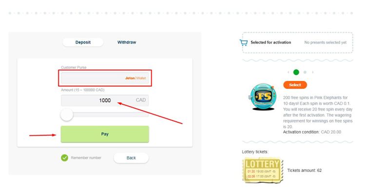 Filling the cashier information