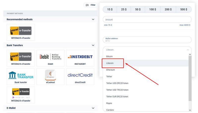Litecoin function