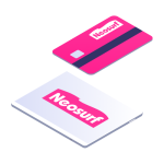 General Information About NeoSurf