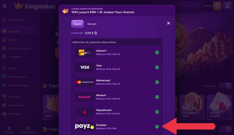 Dépôt avec EcoPayz Étape 4