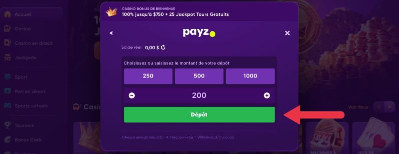 Dépôt avec EcoPayz Étape 5