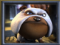 a night in paris dog icon
