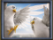 a night in paris dove icon