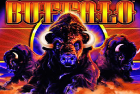 Buffalo Review