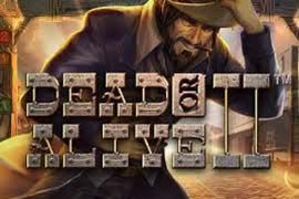 Dead or Alive 2 Online Slot Logo