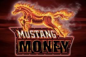 Mustang Money Review