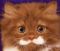 wiskers