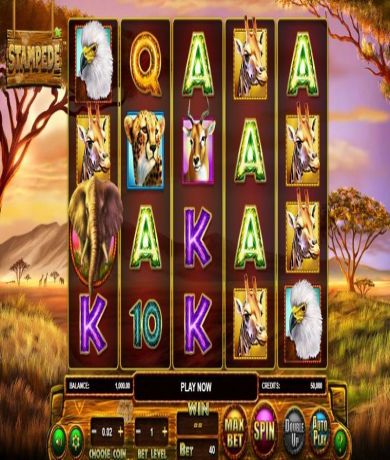 Enjoy the Stampede Slot by Betsoft - In-depth Review and Free Demo Play available now at networkcareassist.com